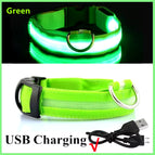 Green Usb Charging (1052_361385) / L Neck 41-52  Cm (1052_361385)