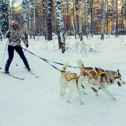 Dog Sled Harness Pet Weight Pulling Sledding Harness Mushing X Back Harness for Large Dogs Husky Canicross Skijoring Scootering