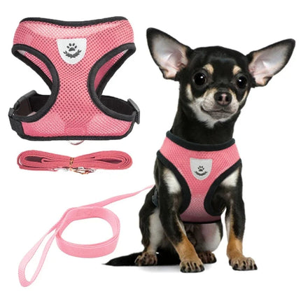 Summer Cat Dog Harness Lead Leash Adjustable Vest - Zuomio